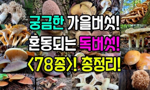 脸上痘印怎么消除最快方法-脸上痘印怎么消除网—知名的脸上痘印怎么消除黑色素沉着网站,分享脸上痘印怎么消除黑色素沉着知识